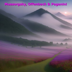 Violin Concerto No. 1 in D Major, Op. 6 - No. 1. Allegro maestoso