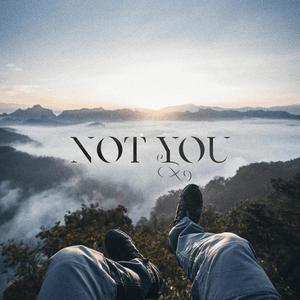 Not You