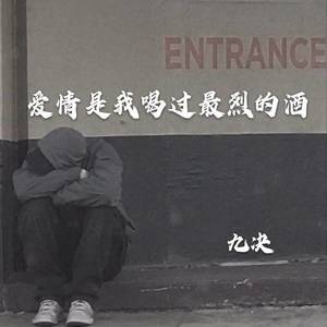 爱情是我喝过最烈的酒封面