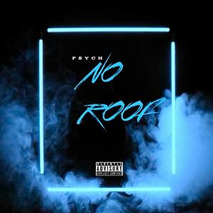 NO ROOF (Explicit)