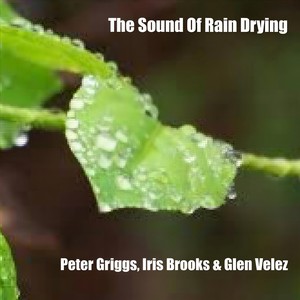 The Sound of Rain Drying