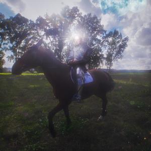 8 PUNTE (Explicit)