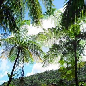 V7 (Original Mix)