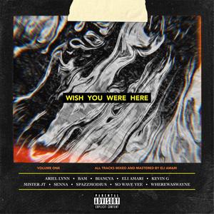Wish You Were Here (Explicit)