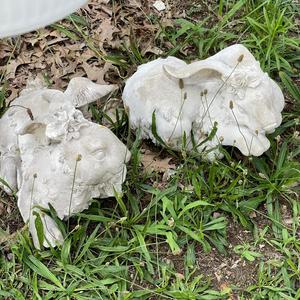 death is silent (feat. FøRD) (Explicit)