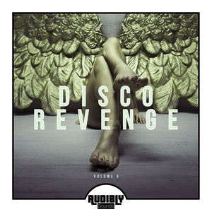 Disco Revenge, Vol. 5