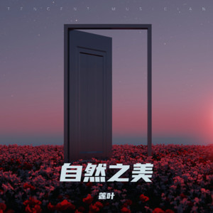 枫之韵