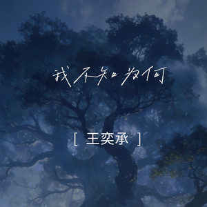我不知为何