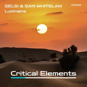 Luminaire (Selsi Abduction Mix)