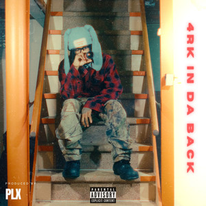 4rk in da back (Explicit)