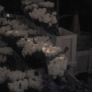 ¿A dónde va mi tiempo?