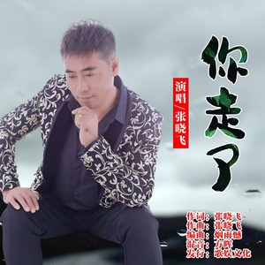 你走了