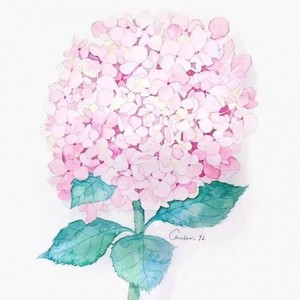 我喜欢上你时的内心活动