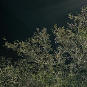 Evento Canónico (Explicit)