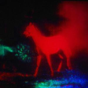 Berlin Horse (Explicit)