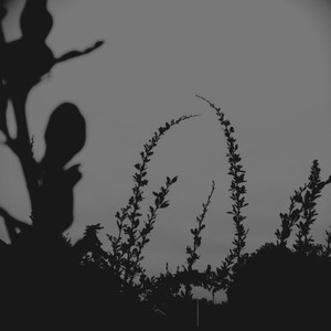 Praying For Sunrise (EP Version)