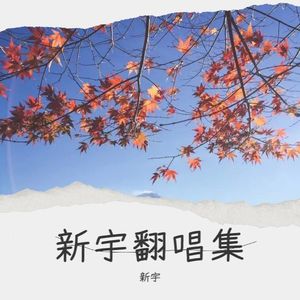 没你没所谓 (DJ版)
