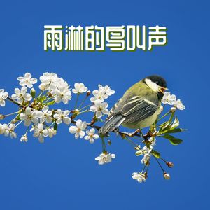 春天