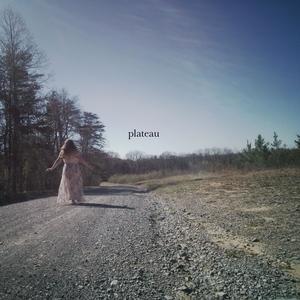 plateau (Explicit)
