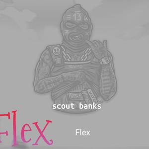 FLEX (Explicit)