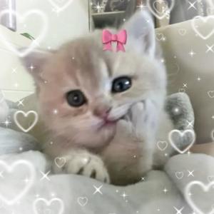 r4yth - SHE GOT ME LIKE >:)