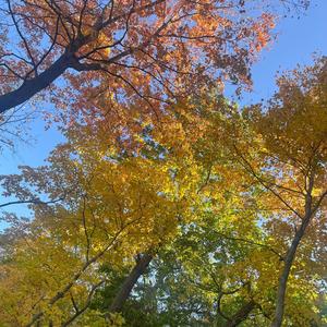 Soul Good (Explicit)