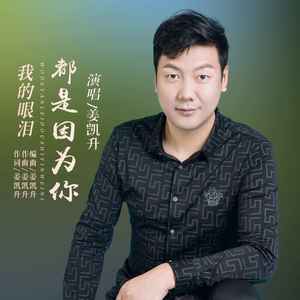 我的眼泪都是因为你