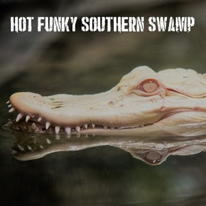 Hot Funky Southern Swamp