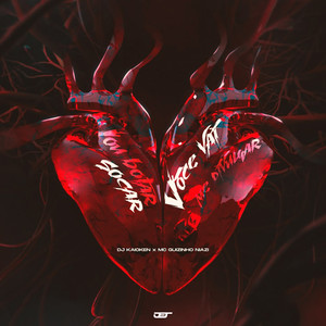 Vou Botar Socar , Você Vai Me Divulgar (Explicit)