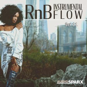 RnB Instrumental Flow, Set 11