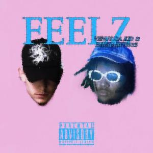 FEELZ (feat. BADHABITS555) [Explicit]