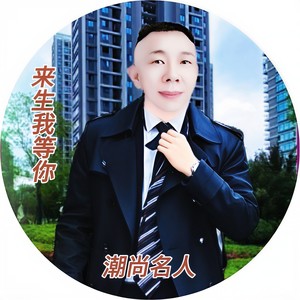 来生我等你 (名人DJ版)