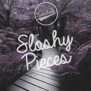 Sloshy Pieces