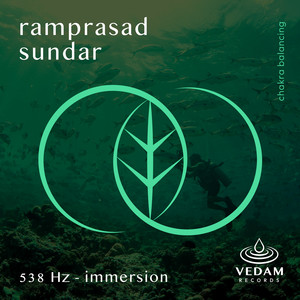 538 Hz - Immersion