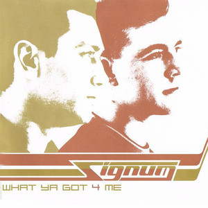 What Ya Got 4 Me (Frank Starr Remix)