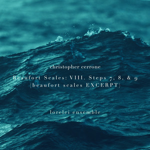 Beaufort Scales - Beaufort Scales: VIII. Steps 7 - 9