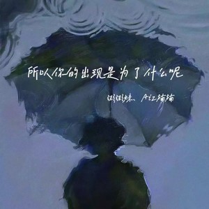 所以你的出现是为了什么呢