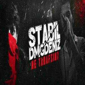 Ne Tarafsın(feat. Stabil)