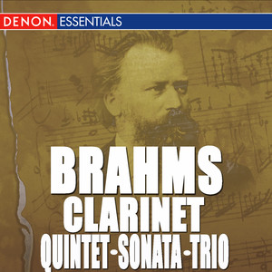 Stanislav Bogunia - Trio for Clarinet, Piano and Violoncelloin A Minor, Op. 114 - I. Allegro