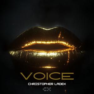 VOICE