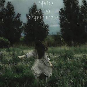 Valley (Snappy Remix)