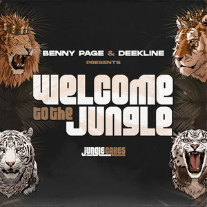 Welcome To The Jungle (Continuous DJ Mix)
