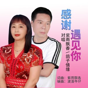 感谢遇见你 (对唱原版)