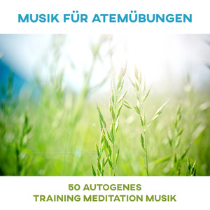 Musik für Atemübungen: 50 Autogenes Training Meditation Musik, Naturgeräusche und Asian Zen Musik für Yoga, Stressabbau - Zeit für Innere Stille