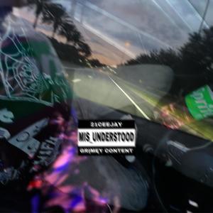 MIS_UNDERSTOOD (Explicit)