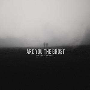 Are You The Ghost (feat. Bailey Jehl)