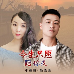 今生只愿陪你走 (DJ版)