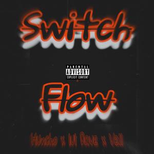 Switch Flow (Explicit)