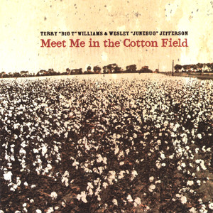 Meet Me in the Cotton Field