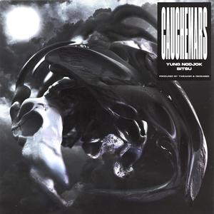 Cauchemars (feat. Bitsu) (Explicit)